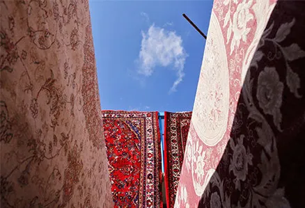 معرفی بهترین مراکز قالیشویی در مجیدیه